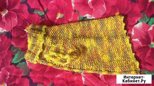 Одежда для собак и кошек ручной вязки Майкоп - изображение 1