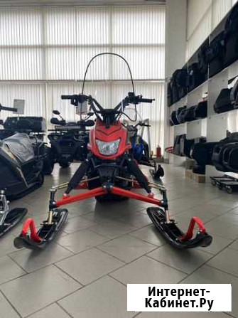 Снегоход Dingo T150 в наличии Уфа - изображение 1