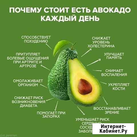 Авокадо Абакан - изображение 1