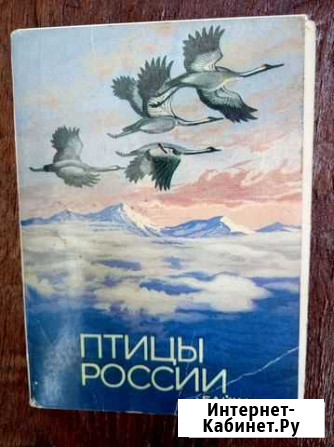 Набор открыток Птицы России 1986г Воронеж - изображение 1