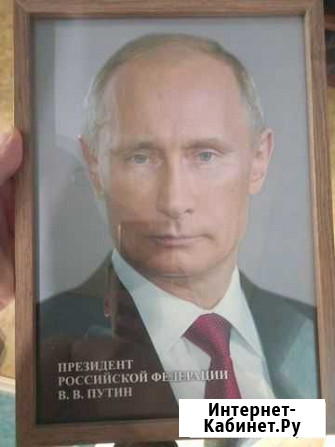Портрет путина Балаково - изображение 1