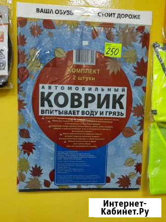 Коврик влаговпитывающий Саранск - изображение 1