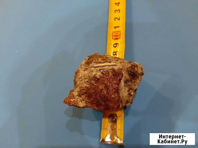 Астрофилит Мурманск - изображение 1