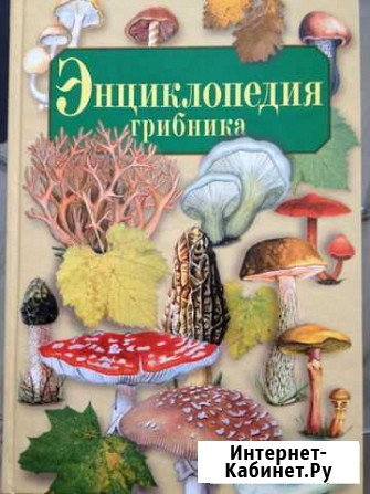 Энциклопедия грибника Губкинский - изображение 1