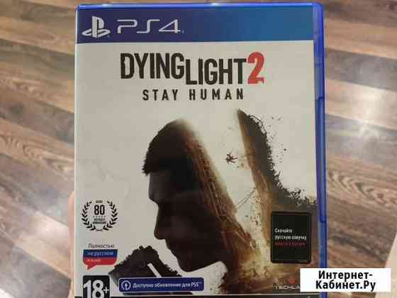 Dying light 2 ps4/ps5 Северодвинск