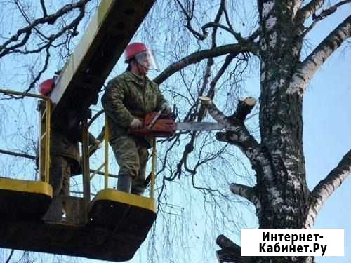 Спил деревьев кустарников Курган - изображение 1