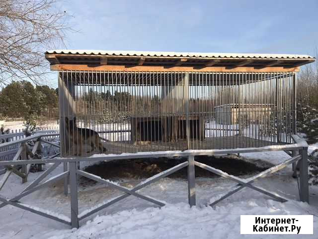 Вольер для собак Тобольск - изображение 1