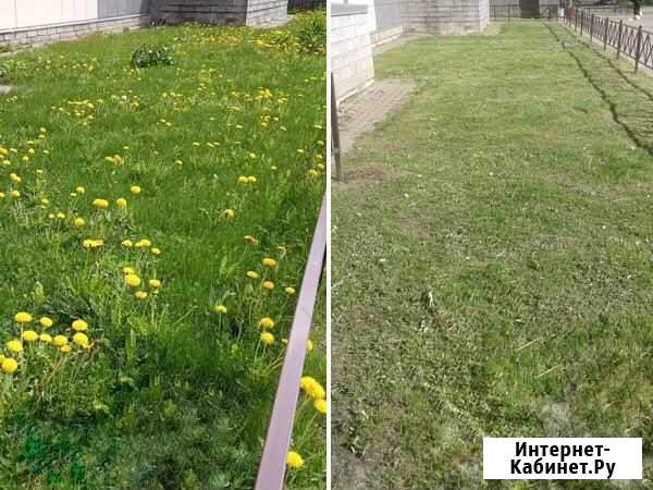 Покос травы, вспашка земли Рязань - изображение 1