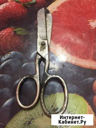 Ножницы Иркутск - изображение 1