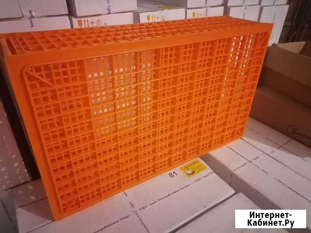 Клетка для переноса птицы Краснодар - изображение 1