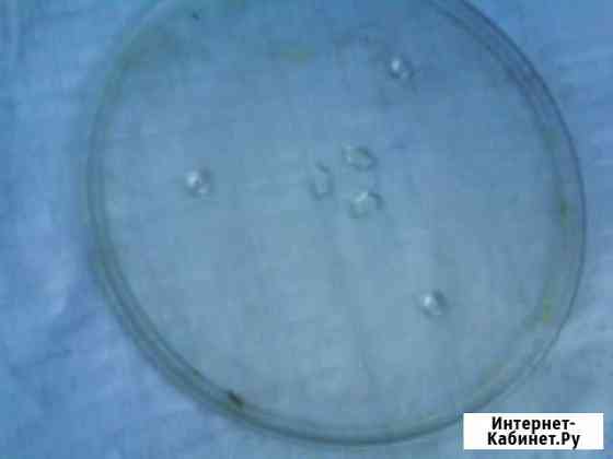 Микроволновки и Тарелки для микроволновок Нижний Новгород