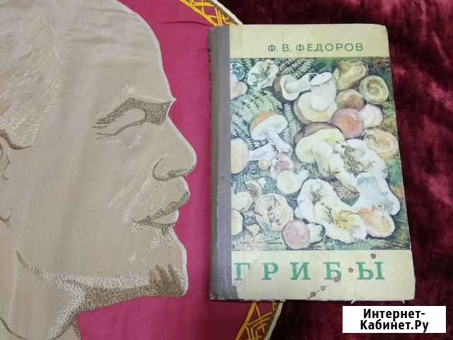 Грибы Чебоксары - изображение 1