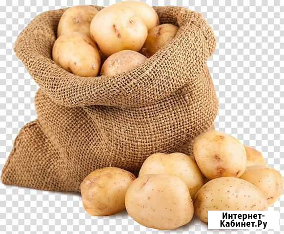 Мешки,бумажные кули Ахтубинск - изображение 1