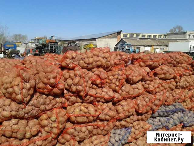 Сельхозпредприятие (овощехранилище на 1000 тонн) Белогорск - изображение 1