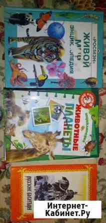 Энциклопедии Челябинск