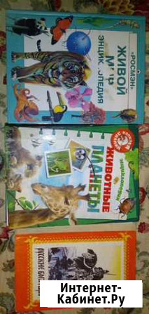 Энциклопедии Челябинск - изображение 1