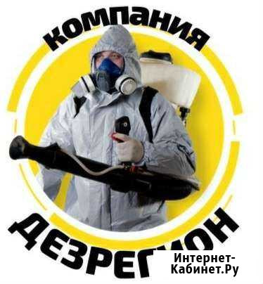 Уничтожение насекомых и грызунов Белово - изображение 1