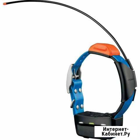 Ошейник Garmin T5 Русский новый гарантия Екатеринбург - изображение 1