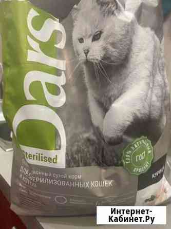 Корм для кошек Нижний Новгород