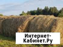 Продам сено в рулонах Рассказово - изображение 1