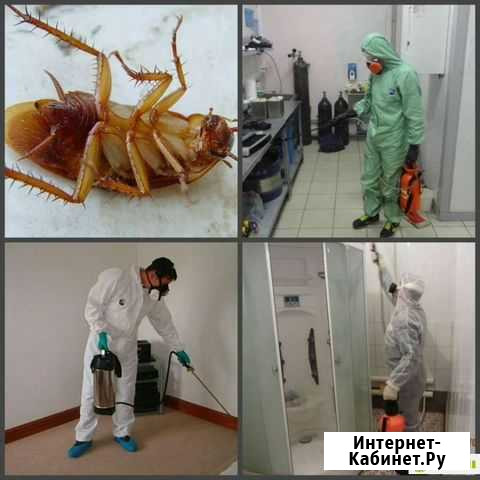 Дезенфекция Новокузнецк - изображение 1