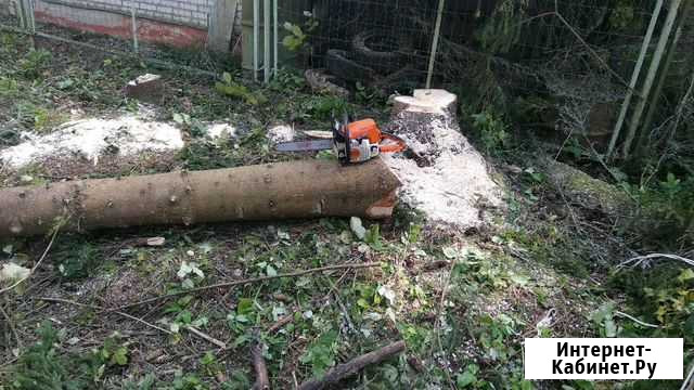 Удаление деревьев Талдом - изображение 1