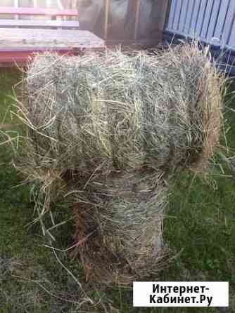 Сено Кемерово