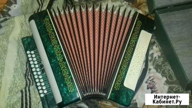 Гармошка Беларусь Самара - изображение 1