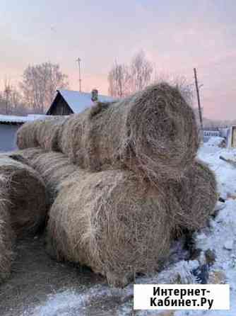 Сено Екатеринбург