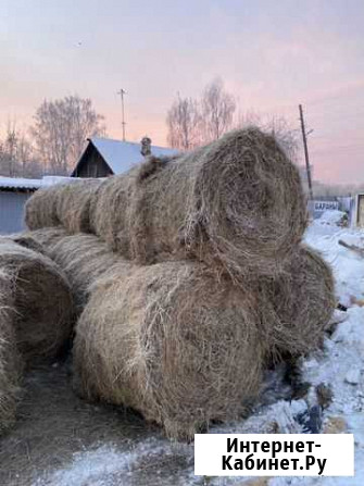 Сено Екатеринбург - изображение 1