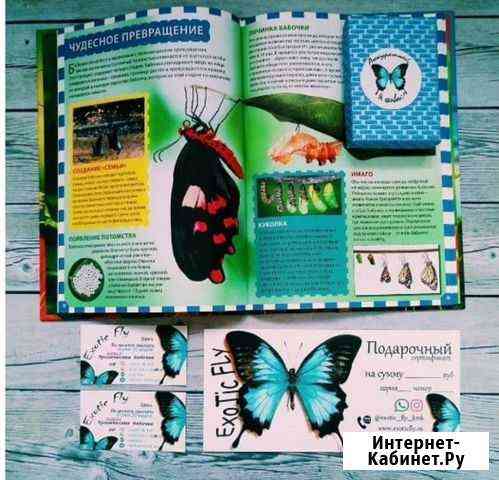 Познавательный подарок Красноярск