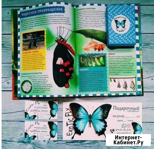 Познавательный подарок Красноярск - изображение 1