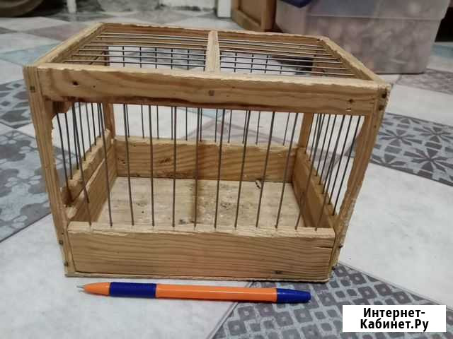 Клетка Энгельс - изображение 1