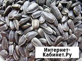 Семечки подсолнечника спк Коноково - изображение 1