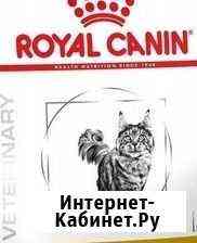 Royal Canin Hepatic коту вполцены Улан-Удэ