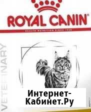 Royal Canin Hepatic коту вполцены Улан-Удэ - изображение 1