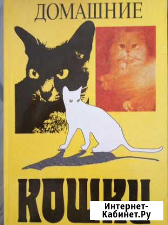 Домашние кошки Губкинский - изображение 1