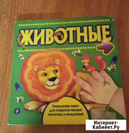 Книга детская Брянск