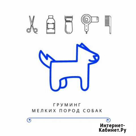 Услуги грумера Петропавловск-Камчатский - изображение 1