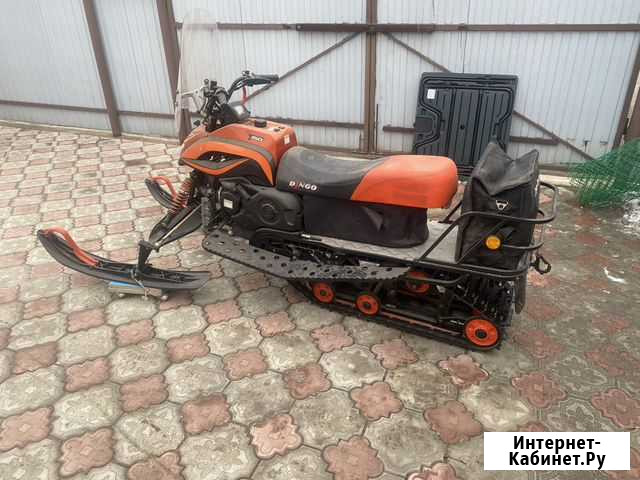 Снегоход Dingo T150 Рубцовск - изображение 1