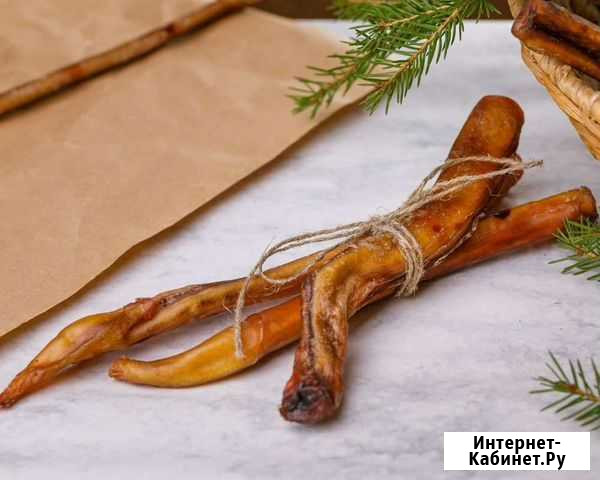 Сушёный бычий корень Первоуральск - изображение 1