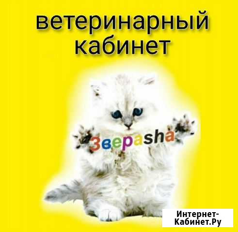 Услуги Ветеринарного врача Абакан - изображение 1