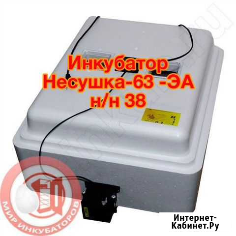 Инкубатор Заинск - изображение 1