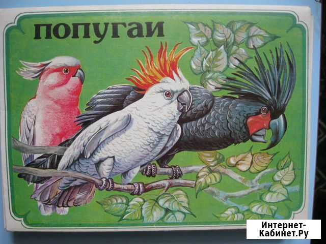 Спичечные этикетки, коробки и наборы Киров - изображение 1