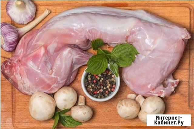 Продам мясо кролика Копейск - изображение 1