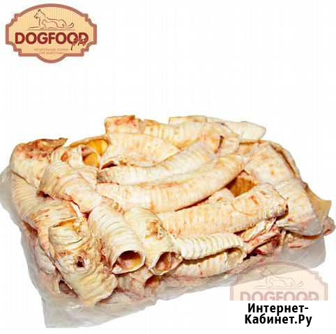 Трахея Первоуральск - изображение 1