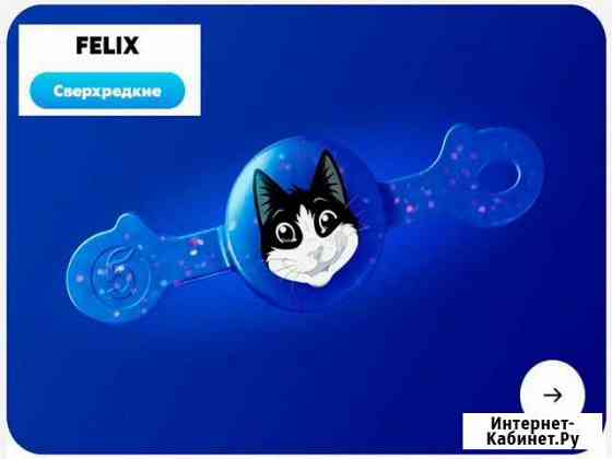 Феликс бравл Калуга