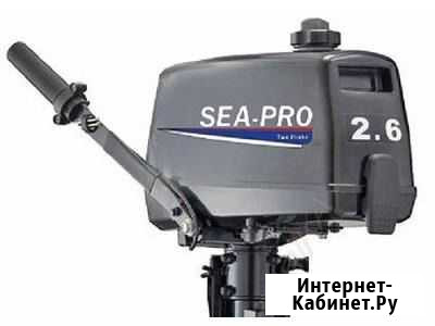 Лодочный мотор SEA-PRO Т 2.6S Омск - изображение 1