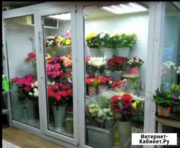 Холодильник для цветов Волгоград - изображение 1