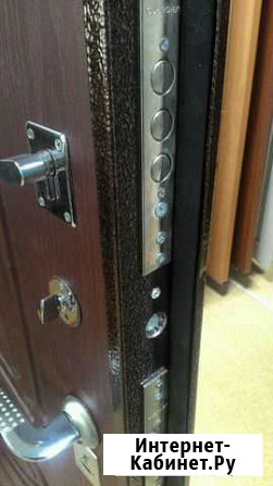 Двери входные Омские Омск - изображение 1